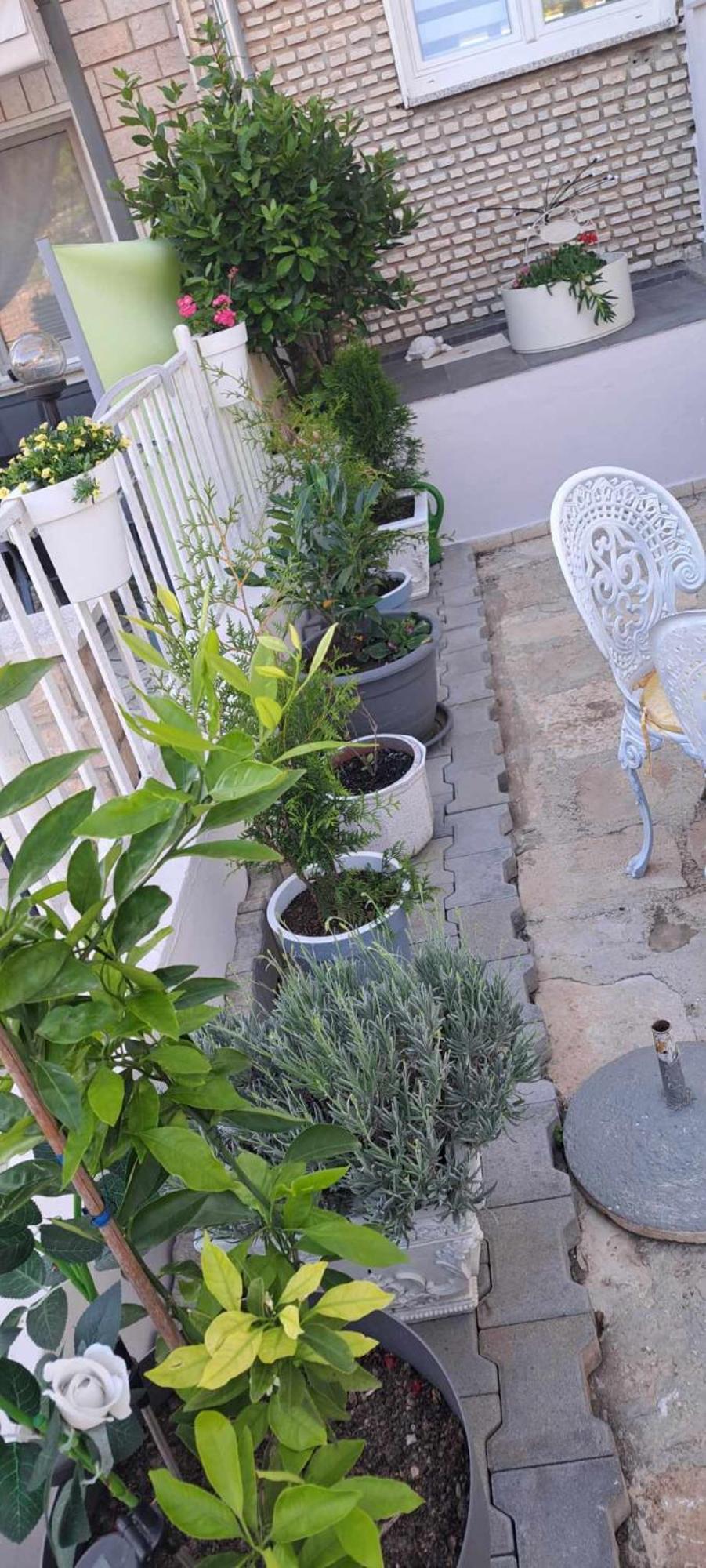Royal Apartments Sandra Štinjan المظهر الخارجي الصورة